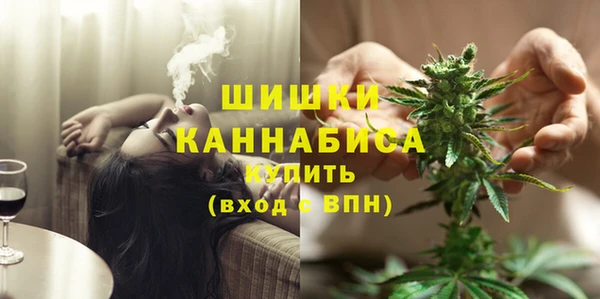 дмт Заводоуковск