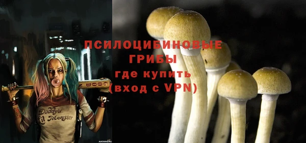 трава Заволжье