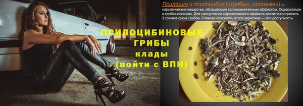 дмт Заводоуковск