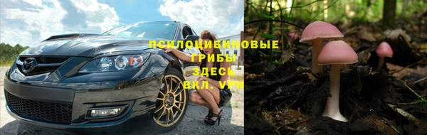 трава Заволжье
